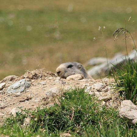 Apart Hotel Garni Alvetern Samnaun Dış mekan fotoğraf